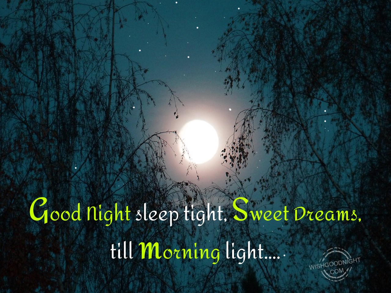 Good night sleep tight - Good Night Pictures – WishGoodNight.com