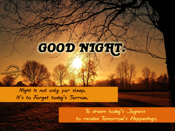 Night is not only for sleep - Good Night Pictures – WishGoodNight.com