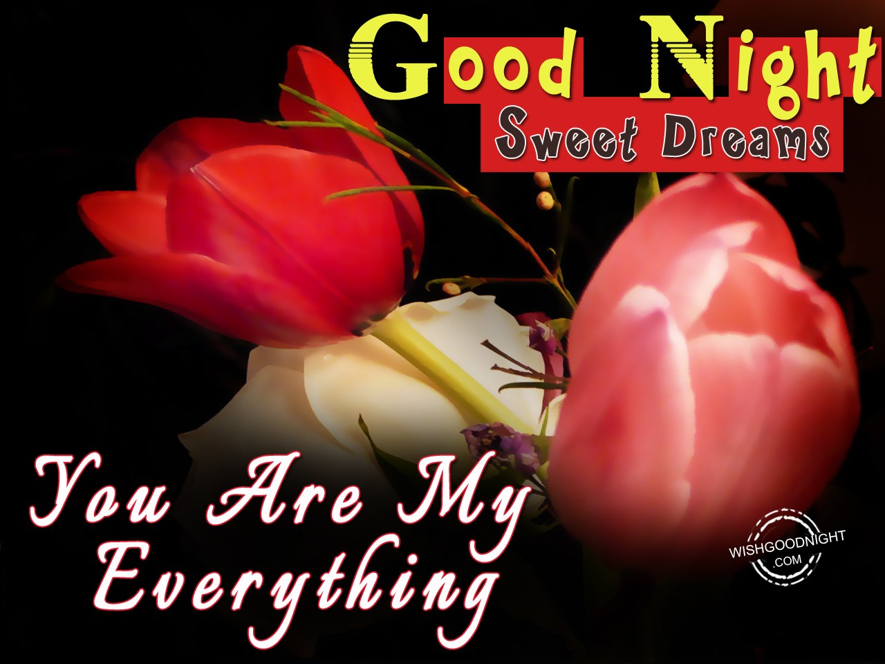 Good Night Wishes For Husband - Good Night Pictures – WishGoodNight.com