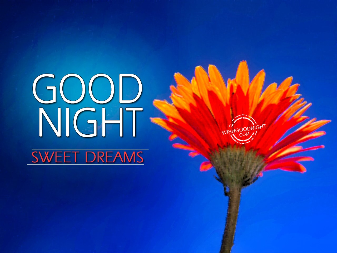 Good Night, Sweet Dreams Image.