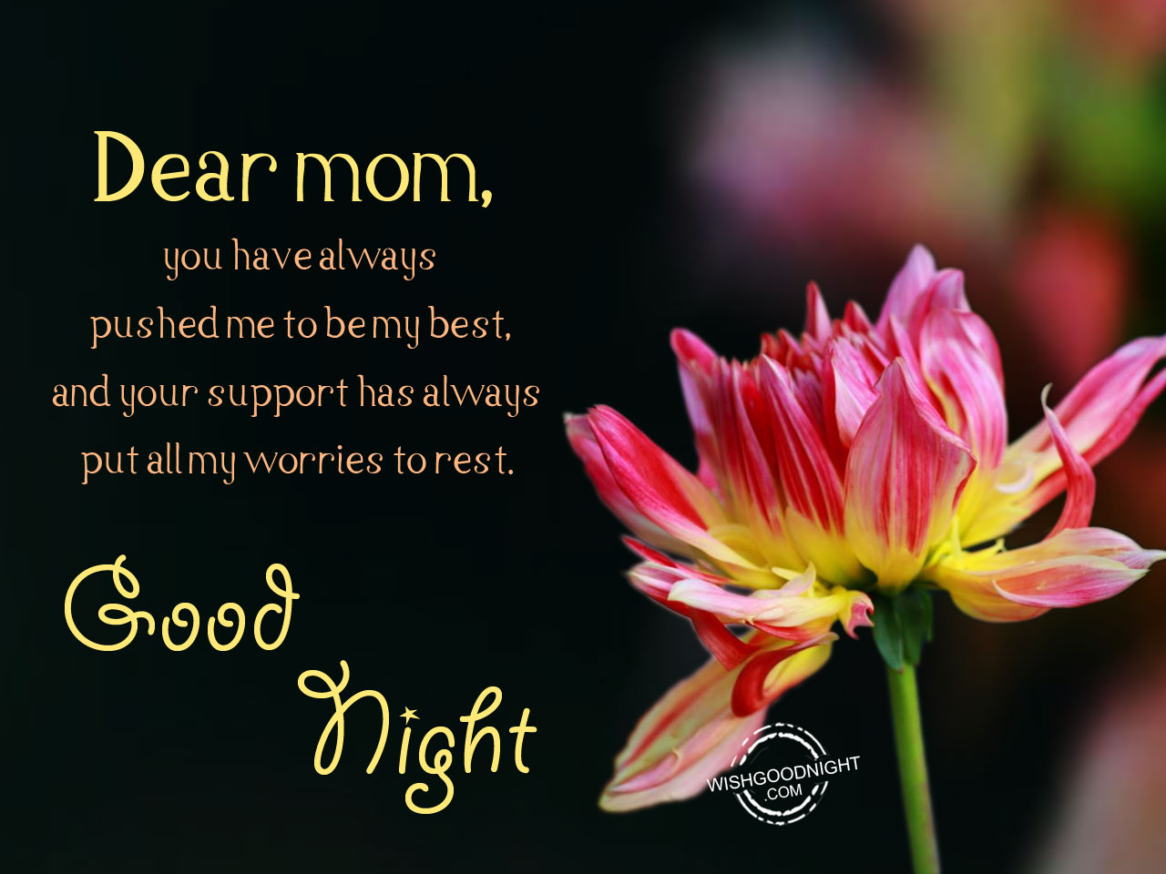 Good Night Wishes For Mother - Good Night Pictures – WishGoodNight.com